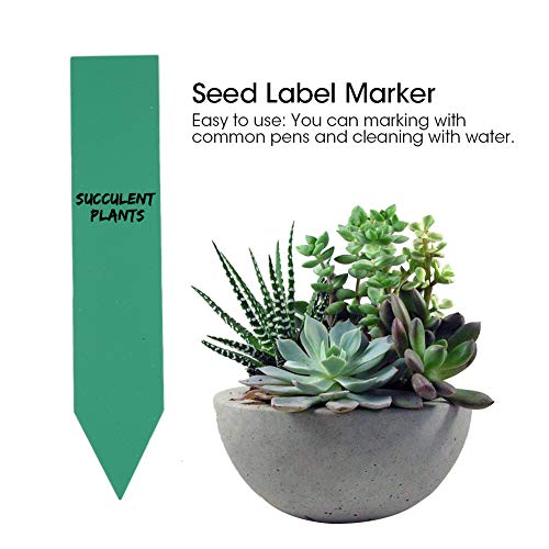 Cocoarm Pflanzensamenbezeichnungen Gartenmarkierungen Anlagen Identifikations -Tags 100 PCs Multicolor PVC Wasserdicht Wiederverwendbar mit 4 Farben für Samenschalen Töpfe Junge Pflanzen (GREEN) von Cocoarm