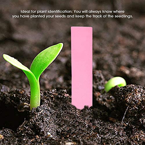 Cocoarm Pflanzensamenbezeichnungen Gartenmarkierungen Anlagen Identifikations -Tags 100 PCs Multicolor PVC Wasserdicht Wiederverwendbar mit 4 Farben für Samenschalen Töpfe Junge Pflanzen (PINK) von Cocoarm