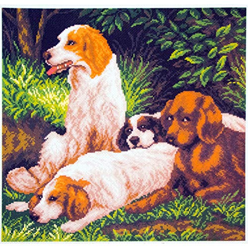 Collection D'Art Hunde ruhen Sich aus Bedrucktes Aida für Kreuzstickerei, Baumwolle, Mehrfarbig, 34x34cm von Collection D'Art