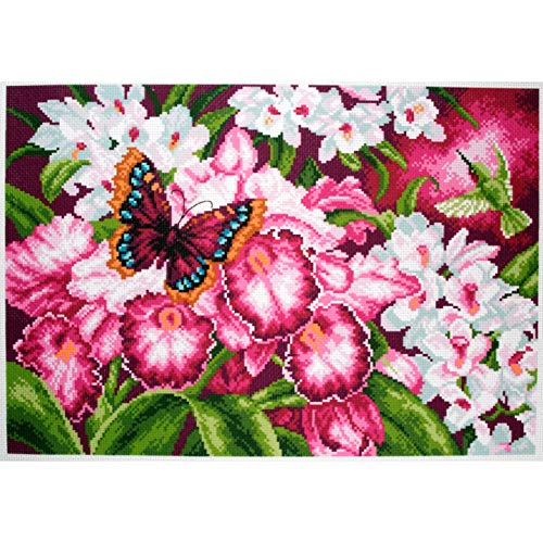 Collection d'Art Orchideen Bedrucktes Aida für Kreuzstickerei, Baumwolle, Mehrfarbig, 27x39cm von RTO