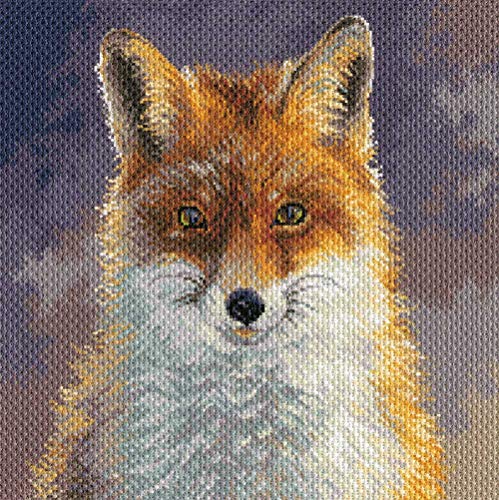 Collection d'Art PA1878 Foxy Bedrucktes Aida für Kreuzstickerei, Baumwolle, Mehrfarbig, 34 x 34cm Collection d'Art PA1878 Foxy Bedrucktes Aida für Kreuzstickerei, Baumwolle, Mehrfarbig, 34 x 34cm von Collection D'Art