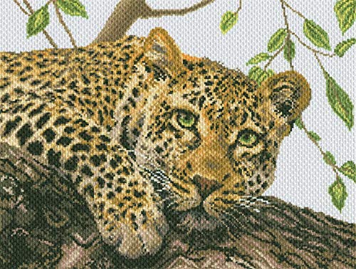 Collection d'Art PA1881 Leopard Bedrucktes Aida für Kreuzstickerei, Baumwolle, Mehrfarbig, 40x30cm von Collection D'Art