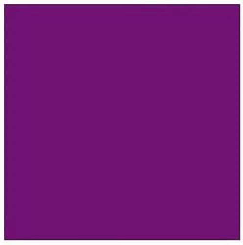 Conté a Paris 500316 Pastellkreide mit hoher Lichtechtheit aus hochwertigen Pigmente für Skizzen und Portraits, Länge 65mm, Querschnitt 6 x 6mm - Dunkelviolett Conté a Paris 500316 Pastellkreide mit hoher Lichtechtheit aus hochwertigen Pigmente für Skizzen und Portraits, Länge 65mm, Querschnitt 6 x 6mm - Dunkelviolett von Conté à Paris