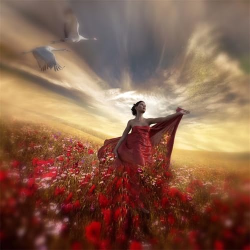 5D Diamond Painting Erwachsene Rotes Kleid Frau Diamant Painting Bilder DIY Full Square Diamant Art Painting Kits,Schöne Landschaft Diamant Malerei Stickerei Kreuzstich Bilder Home Wand Dekor 70x70cm 5D Diamond Painting Erwachsene Rotes Kleid Frau Diamant Painting Bilder DIY Full Square Diamant Art Painting Kits,Schöne Landschaft Diamant Malerei Stickerei Kreuzstich Bilder Home Wand Dekor 70x70cm von Cooiiye