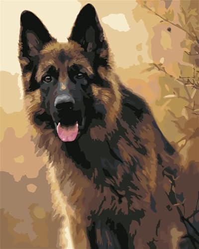Cooiiye Deutscher Schäferhund Malen Nach Zahlen Erwachsene DIY Rahmenlos Handgemalt Ölgemälde Leinwand Kits mit Pinsels und Acrylfarbe Pigment Paint by Numbers für Home Wand Decor Geschenk 55x70cm Cooiiye Deutscher Schäferhund Malen Nach Zahlen Erwachsene DIY Rahmenlos Handgemalt Ölgemälde Leinwand Kits mit Pinsels und Acrylfarbe Pigment Paint by Numbers für Home Wand Decor Geschenk 55x70cm von Cooiiye