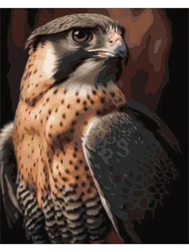 Cooiiye Malen nach Zahlen Erwachsene DIY Adler Vögel Handgemalt Ölgemälde Kit für Anfänger mit Pinseln und Acrylfarben Paint by Numbers für Home Décor Geschenk,rahmenlos 40x50cm von Cooiiye