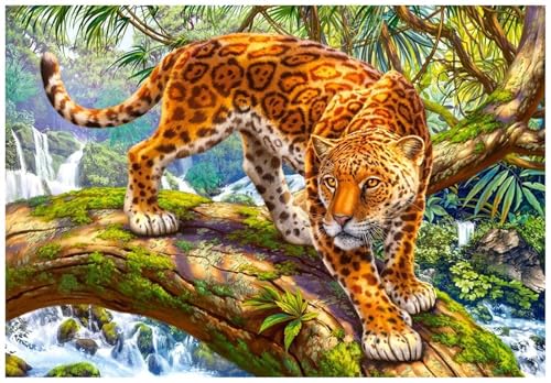 Diamond Painting Geparden Tiere,DIY 5D Diamond Painting Set Erwachsene Vollbohrer Strass Kristall Kreuzstich Stickerei Diamant Painting Bilder für Wohnzimmer Schlafzimmer Wanddeko Round Drill,40x60cm Diamond Painting Geparden Tiere,DIY 5D Diamond Painting Set Erwachsene Vollbohrer Strass Kristall Kreuzstich Stickerei Diamant Painting Bilder für Wohnzimmer Schlafzimmer Wanddeko Round Drill,40x60cm von Cooiiye