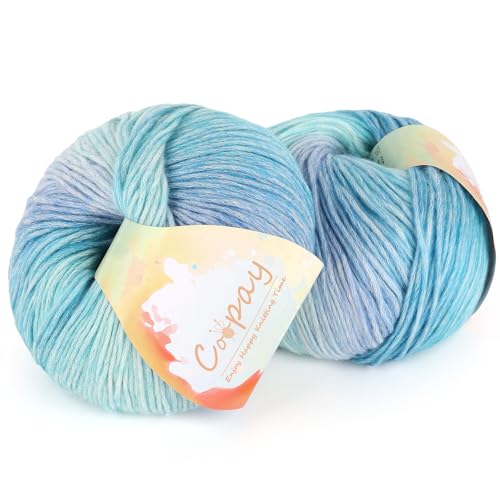 Coopay Ombre-Garn zum Häkeln, Stricken, 2 × 100 g, Häkelgarn – 50 % Baumwolle, 50 % Acryl – perfekt für Schal, Schal, Mütze, Blumendecke (blaues Licht) von Coopay