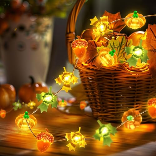 Coquimbo Herbst Dekoration LED Lichterkette, 3M 30LED Kürbis Ahornblatt Eichel Lichterkette Innen und Außen, Batteriebetrie Herbst Dekoration für Erntedankfest Halloween Party Coquimbo Herbst Dekoration LED Lichterkette, 3M 30LED Kürbis Ahornblatt Eichel Lichterkette Innen und Außen, Batteriebetrie Herbst Dekoration für Erntedankfest Halloween Party von Coquimbo