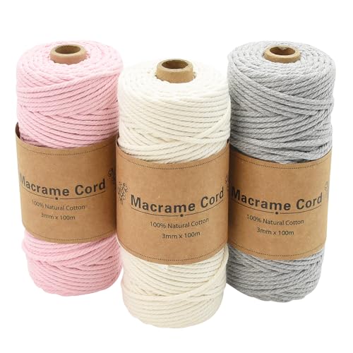 Coriver 3 Stück Makramee Garn, 3mm x 100m Macrame Cord, Makramee Schnur, Makrameegarn Kordel, Makramee Starter Set für DIY Handwerk Weben Dekoration Hängepflanze Pflanze Aufhänger (4. hellgrau) von Coriver
