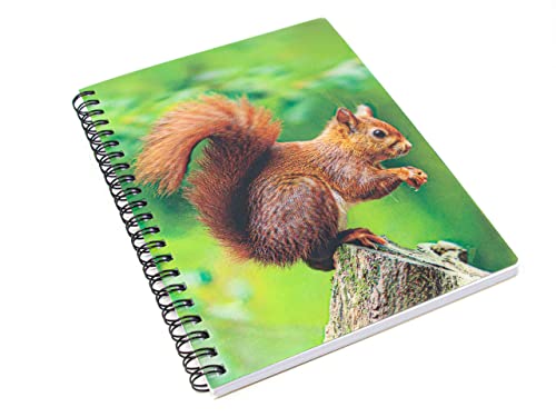 3D Notizbuch - Eichhörnchen - groß von Cornelissen
