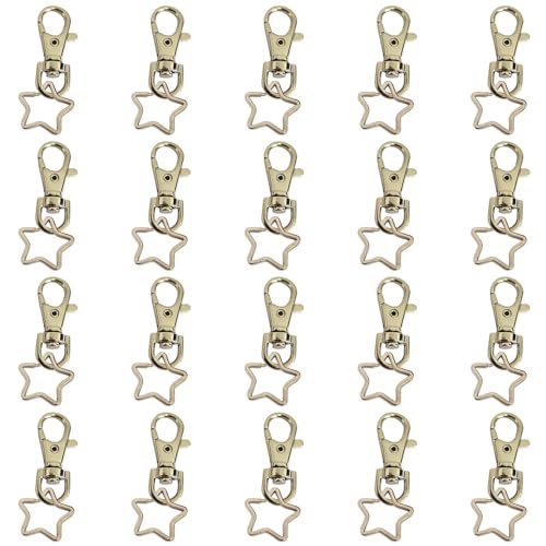 40 Stück Schlüsselring Edelstahl Klein, Schlüsselringe aus Metall in Sternform mit Karabinerhaken, Perfekt für Basteln und Selber Machen(Silber) von Coyoax