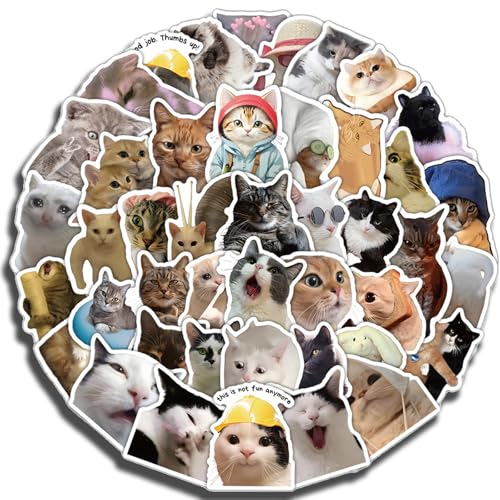 Katzen Sticker Meme Tiere Aufkleber, 50 Stück Lustiges Aufkleber Set Cat, Lehrer Kinder Sticker Handy, Papercats, Für Skateboard Laptop Koffer Helm Motorrad Auto Fahrrad Handy von Cozevdnt