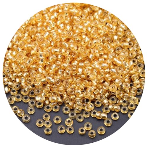 Cozylkx 2 Mm Glasperlen, Winzige Ponyperlen, Durchscheinende Lose Abstandsperlen Zum Sticken, Basteln, Schmuckherstellung, 450 G, Ca. 32000 Stück Cozylkx 2 Mm Glasperlen, Winzige Ponyperlen, Durchscheinende Lose Abstandsperlen Zum Sticken, Basteln, Schmuckherstellung, 450 G, Ca. 32000 Stück von Cozylkx