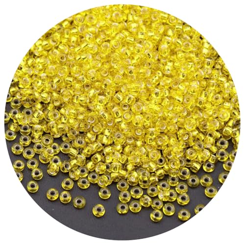 Cozylkx 2 Mm Glasperlen, Winzige Ponyperlen, Durchscheinende Lose Abstandsperlen Zum Sticken, Basteln, Schmuckherstellung, 450 G, Ca. 32000 Stück Cozylkx 2 Mm Glasperlen, Winzige Ponyperlen, Durchscheinende Lose Abstandsperlen Zum Sticken, Basteln, Schmuckherstellung, 450 G, Ca. 32000 Stück von Cozylkx