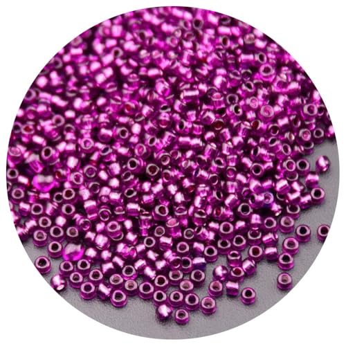 Cozylkx 3 Mm Glasperlen, Winzige Ponyperlen, Durchscheinende Lose Abstandsperlen Zum Sticken, Basteln, Schmuckherstellung, 450 G, Ca. 18000 Stück Cozylkx 3 Mm Glasperlen, Winzige Ponyperlen, Durchscheinende Lose Abstandsperlen Zum Sticken, Basteln, Schmuckherstellung, 450 G, Ca. 18000 Stück von Cozylkx