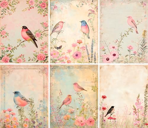 Pastell Birds Reispapier, 20 x 26,5 cm (6 Blatt) – 6 x Decoupage-Papier für Collagen, gemischte Medien, Kartenherstellung und Basteln, Decoupage von CRAFT KREATIVELY von Craft Kreatively