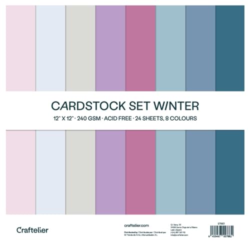 Craftelier - Cardstock Set | 24 Karten für Scrapbooking und Basteln | Textur Winter - Größe 30 x 30 cm - Grammatur 240 gr. von Craftelier