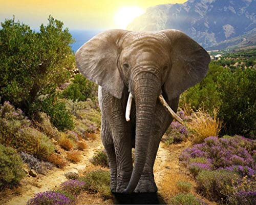 Crafts&Co® Diamond Painting Set, 5D Diamant Malerei, DIY, Malen nach Zahlen, Runde Dril Perlen, Wandbild, Kunsthandwerk für Zuhause, Wanddekoration (Elefant in der Natur, 30 x 40 cm) von Crafts&Co