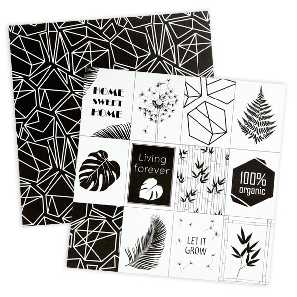 5 Blatt Design-Papier in Schwarz-Weiß, 30,5cm x 30,5cm von Creativ Company