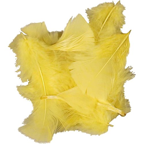 Federn Größe 7-8 cm gelb 50g von Creativ