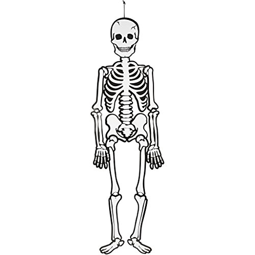 Skelett A 120 cm, 300 g, 1 Stück von Creativ