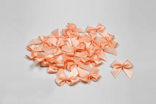 20 Stück Satinschleifen 2,5x3cm (apricot 714) // Deko Schleifen für Hochzeit Taufe Kommunion Applikation Streudeko einfarbig von Creativery