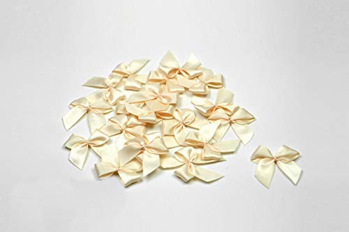 20 Stück Satinschleifen 2,5x3cm (champagner 815) // Deko Schleifen für Hochzeit Taufe Kommunion Applikation Streudeko einfarbig von Creativery