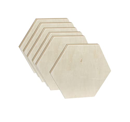 Unlackierte Holzplatten zum Malen, blanko Holz, sechseckig, gerahmte Bretter zum Basteln, Kunstgießen (25,4 x 29,5 cm, 6 Stück) von Cregugua