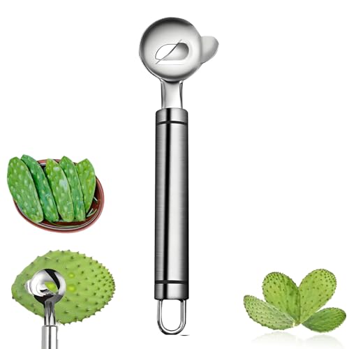 Kaktusschäler, Löffel, 2025 Edelstahl, langer Griff, Edelstahlschneider mit Löchern, tragbarer manueller Kaktus-Dornenentferner, Nudelschneider zum Kochen, Küchenhelfer (1 Stück) von Crepundia