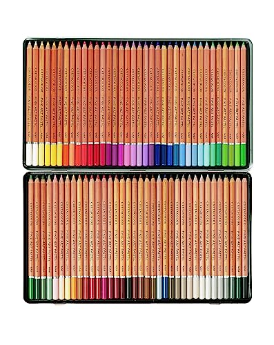 Cretacolor Fine Art Pastellstifte 72er Set – Lichtechte Farben für Künstler und Hobbyisten – Hochpigmentierte, wasservermalbare Stifte für präzises Zeichnen, Schattieren & kreative Kunstprojekte von Cretacolor