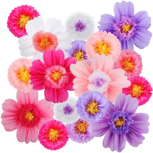 Crowye Große bunte Seidenpapierblumen, 50,8 cm, handgefertigt, riesige Fiesta-Papierblumen für mexikanische Party, Hochzeit, Geburtstag, Hintergrund, Babyparty, Kinderzimmer, Handwerk Crowye Große bunte Seidenpapierblumen, 50,8 cm, handgefertigt, riesige Fiesta-Papierblumen für mexikanische Party, Hochzeit, Geburtstag, Hintergrund, Babyparty, Kinderzimmer, Handwerk von Crowye