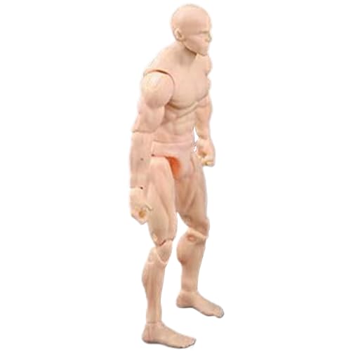 Actionfigur Körper, 4,1 -Zoll -PVC -Leere Action -Figur, DIY Posenable, Sammlerbetriebsmalerei Zeichnung für Ausstellung, Spiel, Modellierung, Szenenspiel, Hautfarbe/männlich Actionfigur Körper, 4,1 -Zoll -PVC -Leere Action -Figur, DIY Posenable, Sammlerbetriebsmalerei Zeichnung für Ausstellung, Spiel, Modellierung, Szenenspiel, Hautfarbe/männlich von Csafyrt