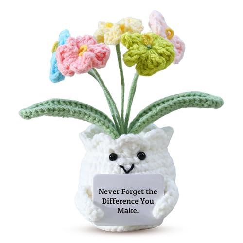 Cumnvulnt Pocket Hug Positive Blume, Positive Geschenke Häkelblumen, Emotional Support Plant, Handgemachte Blumenpuppen, Mutmacher Geschenk für Freundin Kollegen und Familie von Cumnvulnt