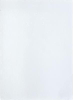 Curtis Versandtaschen/A11080FSC C4 extraweiß 229 x 324 100 g/qm Inh.250 von Curtis