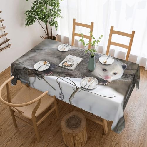 Cykazhst Opossum Rechteckige Tischdecke, Polyester, abwischbar, wasserdicht, Tischdecke für Küche, Esszimmer, Party, Picknick, Outdoor Cykazhst Opossum Rechteckige Tischdecke, Polyester, abwischbar, wasserdicht, Tischdecke für Küche, Esszimmer, Party, Picknick, Outdoor von Cykazhst