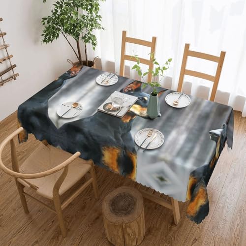 Cykazhst Rechteckige Tischdecke mit Dobermann-Druck, Polyester, abwischbar, wasserdicht, Tischdecke für Küche, Esszimmer, Party, Picknick, Outdoor Cykazhst Rechteckige Tischdecke mit Dobermann-Druck, Polyester, abwischbar, wasserdicht, Tischdecke für Küche, Esszimmer, Party, Picknick, Outdoor von Cykazhst