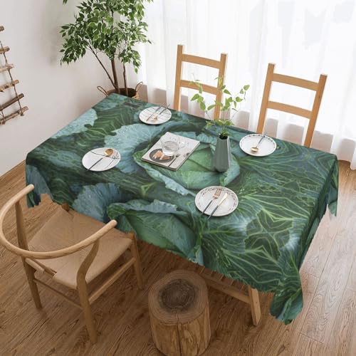 Cykazhst Rechteckige Tischdecke mit hellem Kohldruck, Polyester, abwischbar, wasserdicht, Tischdecke für Küche, Esszimmer, Party, Picknick, Outdoor Cykazhst Rechteckige Tischdecke mit hellem Kohldruck, Polyester, abwischbar, wasserdicht, Tischdecke für Küche, Esszimmer, Party, Picknick, Outdoor von Cykazhst