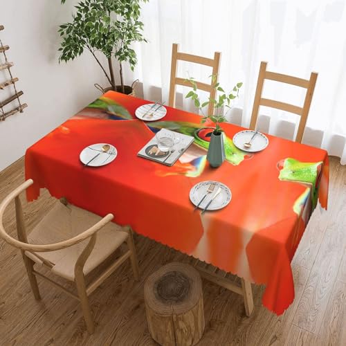 Cykazhst Rechteckige Tischdecke mit roten Augen, Motiv: Baumfrösche, Polyester, abwischbar, wasserdicht, Tischdecke für Küche, Esszimmer, Party, Picknick, Outdoor Cykazhst Rechteckige Tischdecke mit roten Augen, Motiv: Baumfrösche, Polyester, abwischbar, wasserdicht, Tischdecke für Küche, Esszimmer, Party, Picknick, Outdoor von Cykazhst
