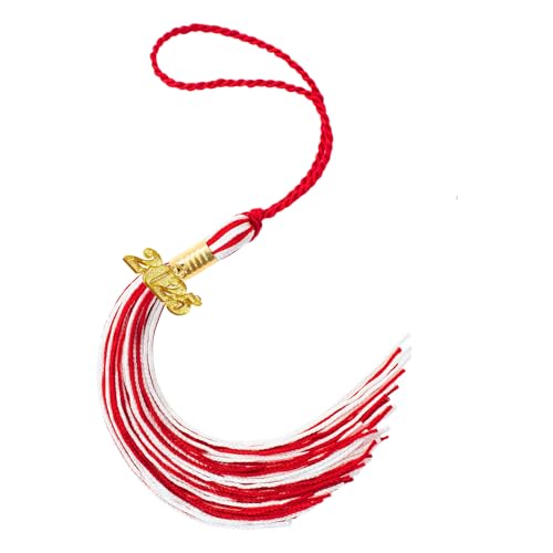 DABAIXIONG 2025 Abschlussquasten Für Absolventen Hat Decorations College Studenten Praktische College Abschlussfeier Accessoire DABAIXIONG 2025 Abschlussquasten Für Absolventen Hat Decorations College Studenten Praktische College Abschlussfeier Accessoire von DABAIXIONG