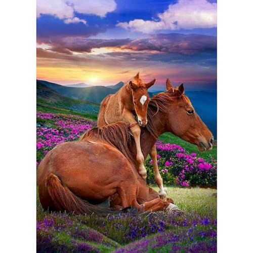 DAERLE 5D Diamond Painting Pferd, Diamant Painting Bilder Hübsche Pferde, Diamond Art Erwachsene Full DIY Diamant Kunst Malerei Stickerei Set Kreuzstich Bilder Home Wand Dekor 30x40cm DAERLE 5D Diamond Painting Pferd, Diamant Painting Bilder Hübsche Pferde, Diamond Art Erwachsene Full DIY Diamant Kunst Malerei Stickerei Set Kreuzstich Bilder Home Wand Dekor 30x40cm von DAERLE