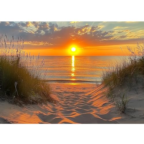 DAERLE DIY Diamond Painting Atemberaubender Sonnenuntergang, Diamond Painting Erwachsene Strand See, 5D Diamant Painting Bilder, Mosaikherstellung Bastelset für Haus Wanddeko 40x30cm DAERLE DIY Diamond Painting Atemberaubender Sonnenuntergang, Diamond Painting Erwachsene Strand See, 5D Diamant Painting Bilder, Mosaikherstellung Bastelset für Haus Wanddeko 40x30cm von DAERLE
