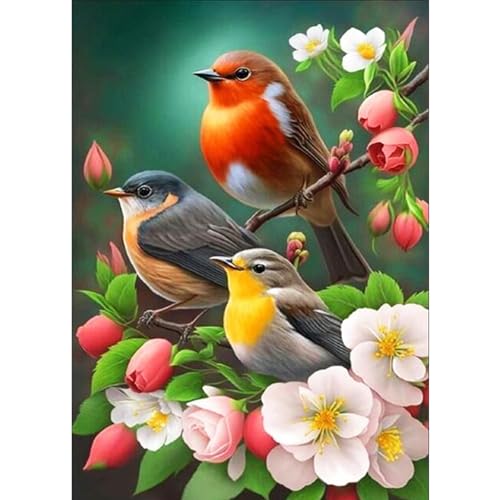 DAERLE DIY Diamond Painting Vögel mit Blumen, 5D Diamant Painting Bilder Tier, Diamant Malerei Cross Stitch Stickerei Kunsthandwerk Set für Erwachsene, Wanddekorationen für Zuhause 30x40cm DAERLE DIY Diamond Painting Vögel mit Blumen, 5D Diamant Painting Bilder Tier, Diamant Malerei Cross Stitch Stickerei Kunsthandwerk Set für Erwachsene, Wanddekorationen für Zuhause 30x40cm von DAERLE