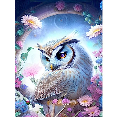 DAERLE DIY Eule Diamant Painting Bilder für Erwachsene Kinder, 5D Bunte Blumen Diamond Painting Set, DIY Strass Bilder Tier Diamant Kunst Kits, Diamant Painting für Zuhause Dekor 30x40cm DAERLE DIY Eule Diamant Painting Bilder für Erwachsene Kinder, 5D Bunte Blumen Diamond Painting Set, DIY Strass Bilder Tier Diamant Kunst Kits, Diamant Painting für Zuhause Dekor 30x40cm von DAERLE