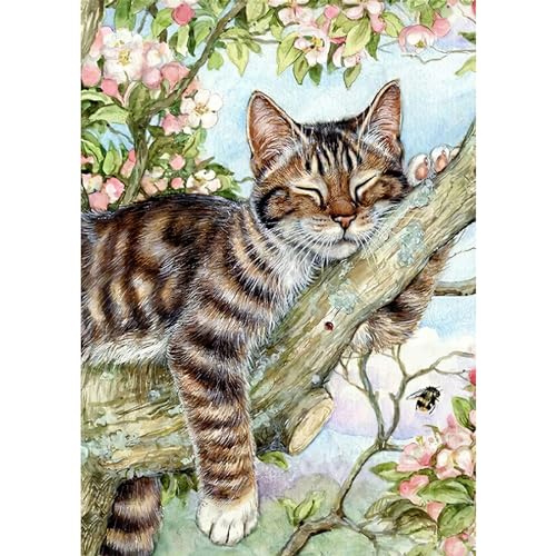 DAERLE DIY Niedliche Katze Diamond Painting Erwachsene Kinder, Diamant Painting Bilder Schläfrige Katze, 5D Diamant Kunst Diamant Malerei Set Cross Stickerei Malerei Kits für Heimdekor 30x40cm von DAERLE