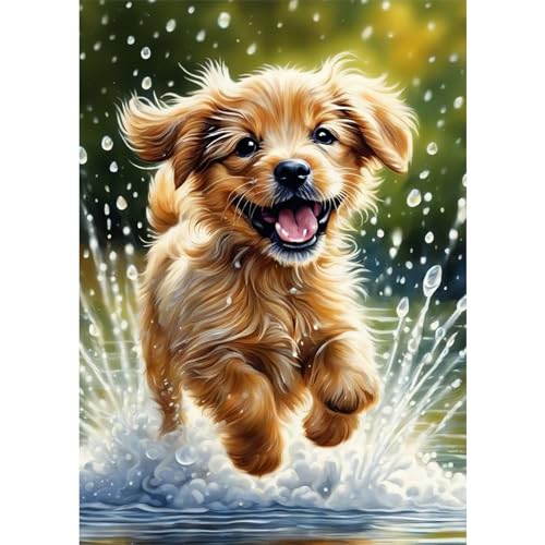 DAERLE Diamant Painting Bilder Plätschern und liebenswerter Hund, Diamond Painting Niedliches Hündchen, Diamond Painting Set Erwachsene Mosaikherstellung, Diamant Malerei für Haus Dekoration 30x40cm DAERLE Diamant Painting Bilder Plätschern und liebenswerter Hund, Diamond Painting Niedliches Hündchen, Diamond Painting Set Erwachsene Mosaikherstellung, Diamant Malerei für Haus Dekoration 30x40cm von DAERLE