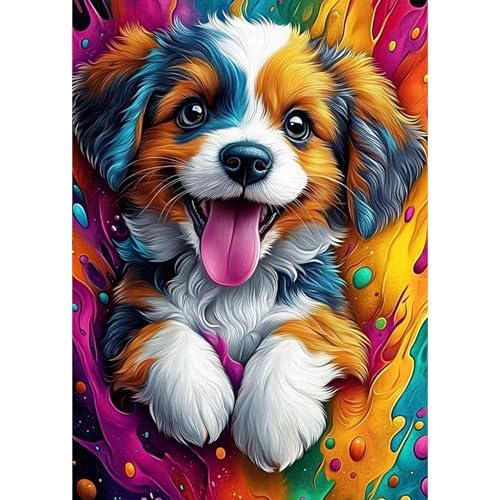 DAERLE Diamant Painting Bilder für Erwachsene Farbenfroher Hund, 5D Diamond Painting Schönes detailliertes Hündchen, DIY Strass Bilder Diamant Kunst Kits, Diamant Painting für Home Wand Décor 30x40 cm DAERLE Diamant Painting Bilder für Erwachsene Farbenfroher Hund, 5D Diamond Painting Schönes detailliertes Hündchen, DIY Strass Bilder Diamant Kunst Kits, Diamant Painting für Home Wand Décor 30x40 cm von DAERLE