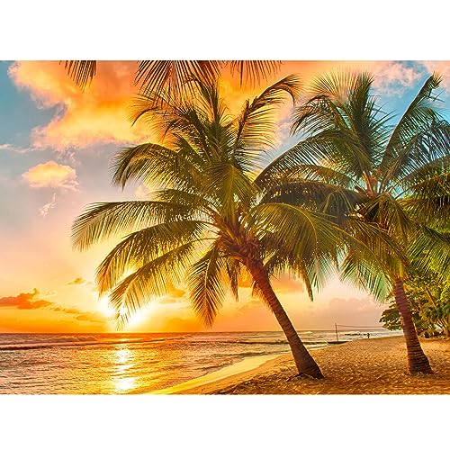 DAERLE Diamond Painting Erwachsene Sandstrand, 5D Diamant Painting Bilder Sonnenuntergang, DIY Diamond Painting Bilder Diamant Malerei Baum Set für Wanddekoration 40x30cm DAERLE Diamond Painting Erwachsene Sandstrand, 5D Diamant Painting Bilder Sonnenuntergang, DIY Diamond Painting Bilder Diamant Malerei Baum Set für Wanddekoration 40x30cm von DAERLE