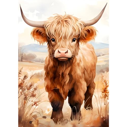 DAERLE Diamond Painting Hochland Kuh, 5D Set für Erwachsene, Zubehör, Bezaubernde Kuh Full Drill Geschenk für Home Wall Décor 30x40cm von DAERLE