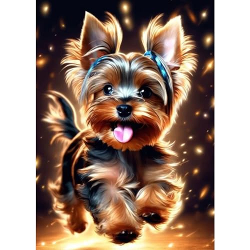 DAERLE Diamond Painting Schöner Hund, Diamant Painting Bilder Glücklicher Hund, DIY Diamant Vollbild, Malen Nach Zahlen Erwachsene, Kinder, 5D Diamant Painting für Wand Dekoration 30x40cm DAERLE Diamond Painting Schöner Hund, Diamant Painting Bilder Glücklicher Hund, DIY Diamant Vollbild, Malen Nach Zahlen Erwachsene, Kinder, 5D Diamant Painting für Wand Dekoration 30x40cm von DAERLE